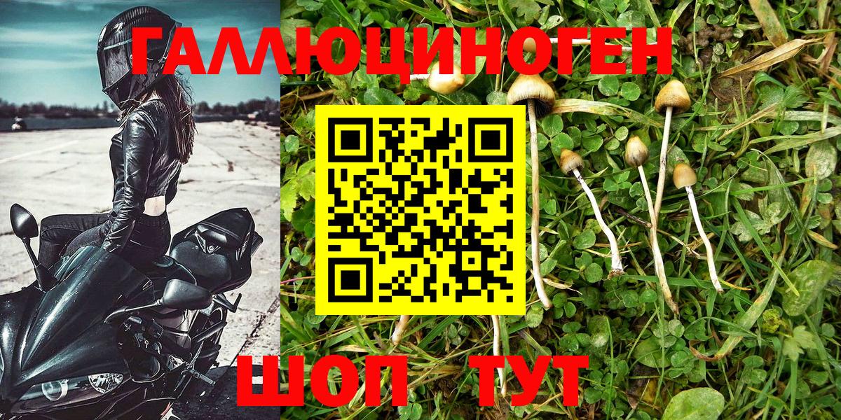 Псилоцибиновые грибы GOLDEN TEACHER Мариинск